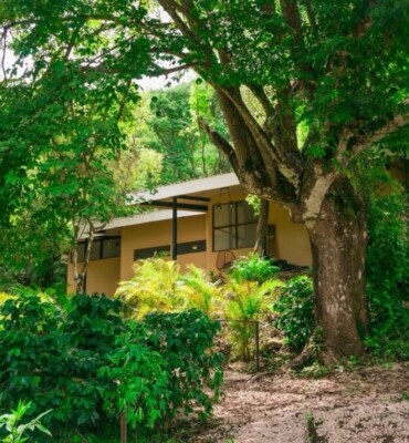 Lodging at OM Jungle Medicine — photo 8