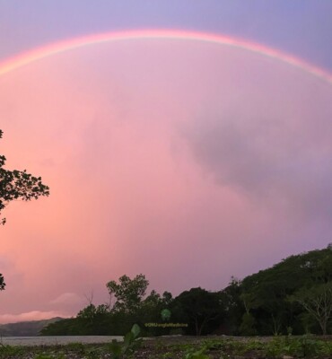 Nature at OM Jungle Medicine — photo 18