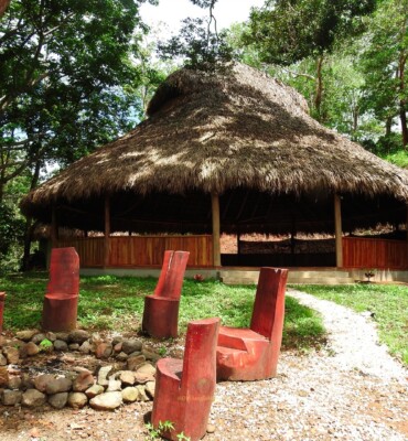 Nature at OM Jungle Medicine — photo 11