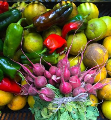 Sustainability at OM Jungle Medicine — photo 10