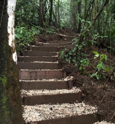 Cabins at OM Jungle Medicine — photo 9