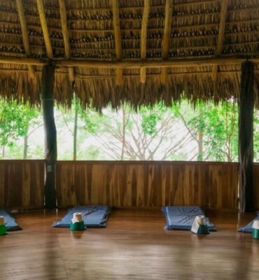 Ceremonial Space at OM Jungle Medicine — photo 13
