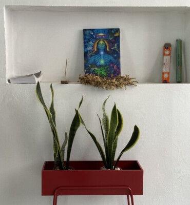 Lodging at OM Jungle Medicine — photo 5