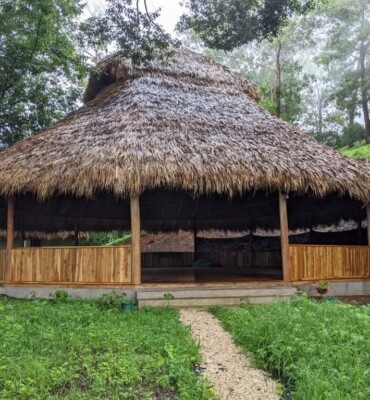 Ceremonial Space at OM Jungle Medicine — photo 10