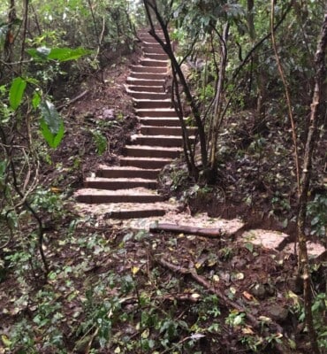 Cabins at OM Jungle Medicine — photo 10