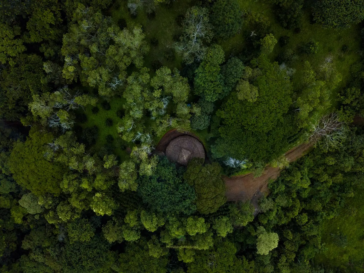 Aerial view of the maloca ceremony space in the jungle at OM Jungle Medicine, Costa Rica